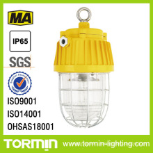 Mine Tunnel Light/Mining Lamp/Explosion Proof Tunnel Lamp Dgs70/127b (E)